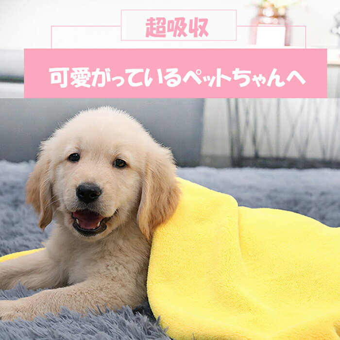 【送料無料】超吸水 ペット用タオル 犬 猫 体拭き 超速乾 バスタオル お風呂 お散歩 雨の日 梅雨 体拭き用タオル ペット用品 超吸収 猫 小型犬 中型犬 大型犬 プレゼント 新生活 ペット用タオル シャンプータオル M 55*100cm