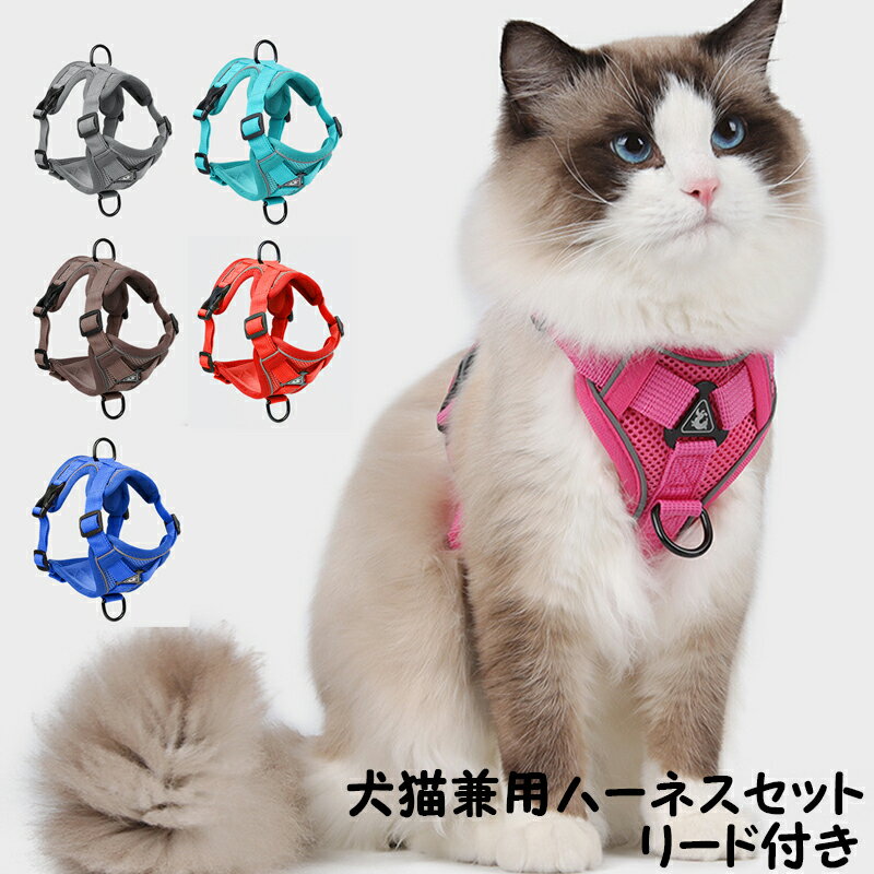 【期間限定P10倍】猫 ハーネス リート付き セットアップ 猫用ハーネス 花見 シンプル 可愛い 犬用ハーネス リード セットアップ 小型犬 超小型犬 お散歩 お出かけ 胴輪 マジックテープ 愛犬の咳き込み軽減に 通気性が抜群 丈夫 長持ち