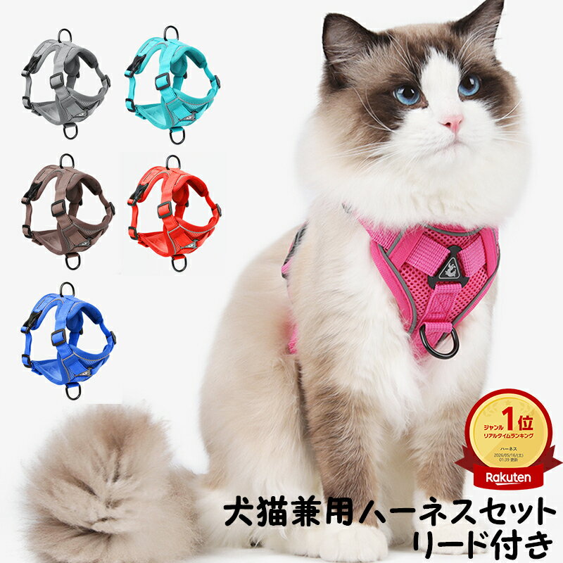 「ランキング受賞！」 猫 ハーネス リート付き セットアップ 猫用ハーネス 花見 シンプル 可愛い 犬用ハーネス リード セットアップ 小型犬 超小型犬 お散歩 お出かけ 胴輪 マジックテープ 愛犬の咳き込み軽減に 通気性が抜群 丈夫 長持ち