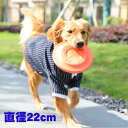 【期間限定P5倍】1000円ポッキリ 中型犬 大型犬 スカイボックス 犬用フリスビー ドッグディスク フリスビーおもちゃ しつけ 訓練 フライングディスク アウトドア ストレス発散 丈夫 犬用おもちゃ ストレス解消 運動不足 給水器 M