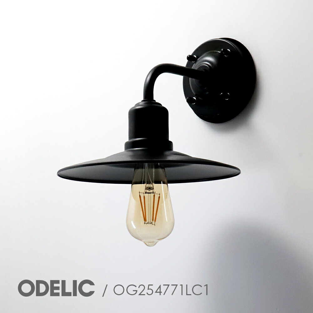 楽天市場】og 254 771 lcの通販 楽天市場】og 254 771 lcの通販