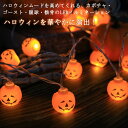 リモコン付 ハロウィン 飾り イルミネーション 装飾 LED ライト 全長6M 40球 カボチャ パンプキン 幽霊 ゴースト 眼球 USB 屋外 屋内 玄関 室内 イベント ステージ halloween ハロウィン 飾り付け 吊り飾り 装飾 飾り物 【送無】