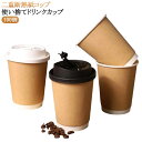 おしゃれ 16oz 紙カップ 蓋付き 16oz ドリンクカフェ 10oz 100個 デザート テイクアウト コーヒー 保温 エコ容器 断熱 使い捨て 業務用 二重クラフト断熱 オシャレ フード 容器 12oz ラテ ラテアート 紙コップ プラカップ 紙カップ 美容室 ネイル エステ