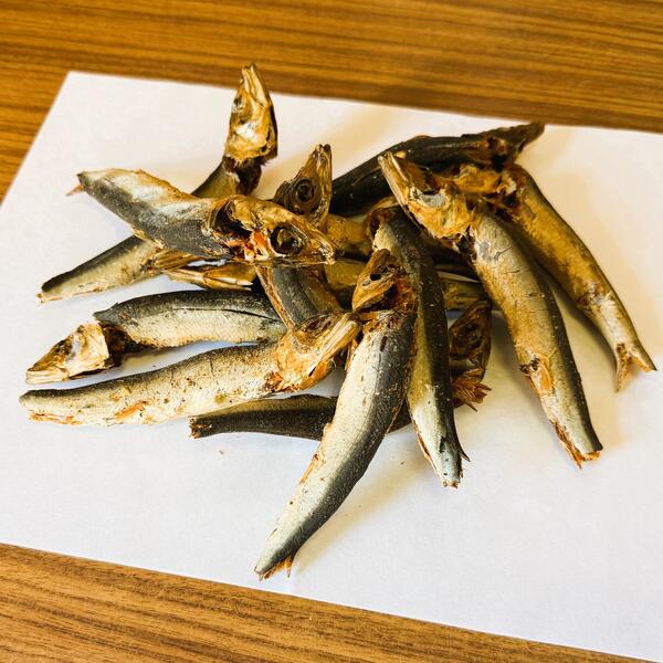 ��������1kg��Ƭͭ�ڶ�̳�ѡۡ�̵����ˡ���������۾��Ż�������(�������ǤϤ���ޤ���)