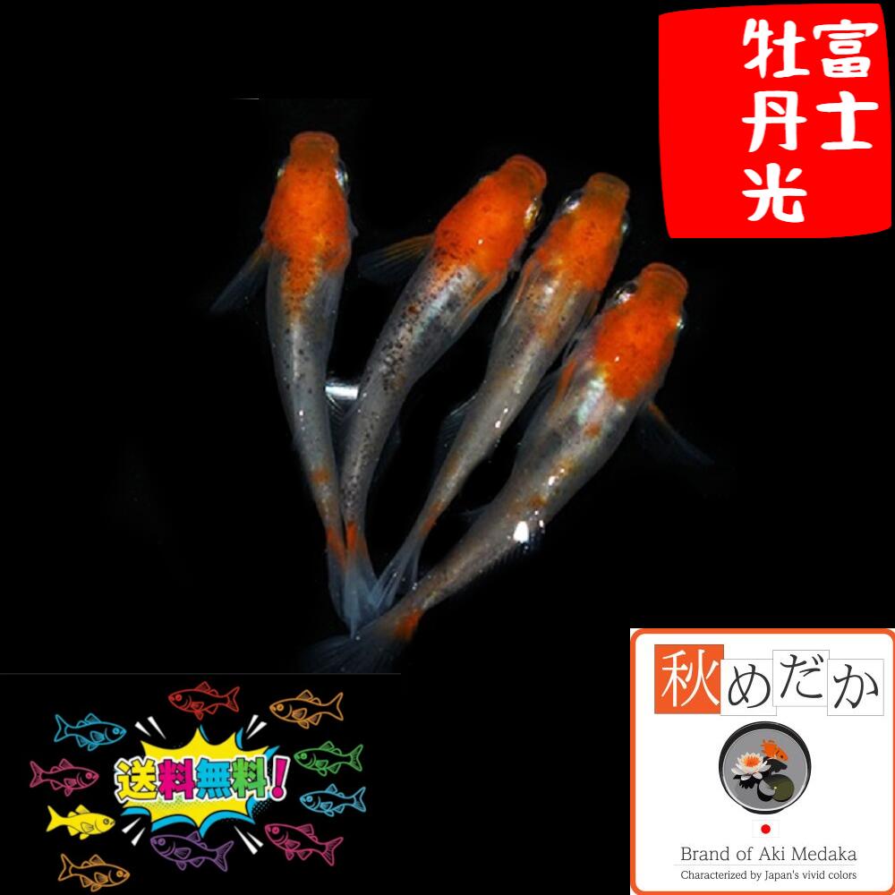 商品画像3