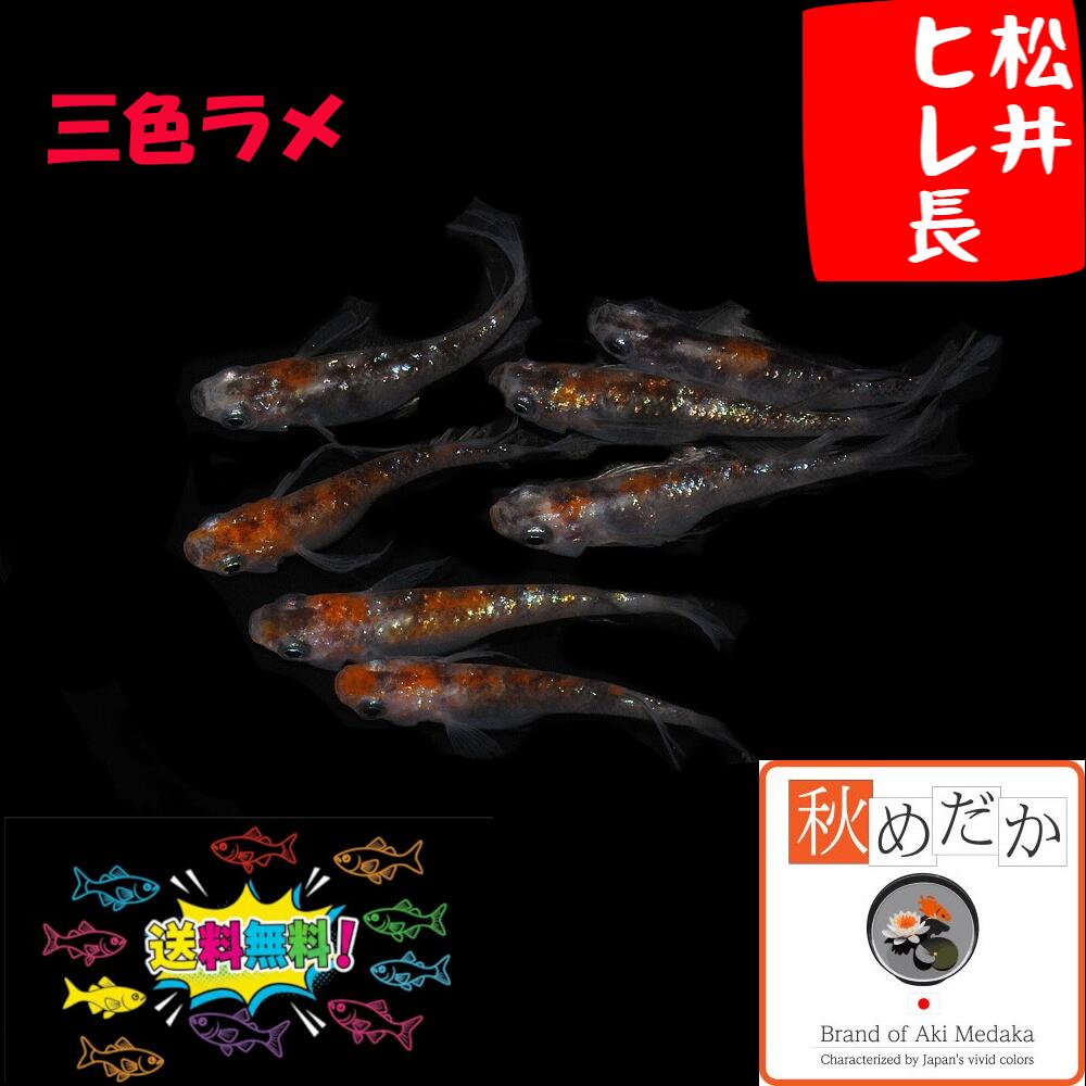商品画像3