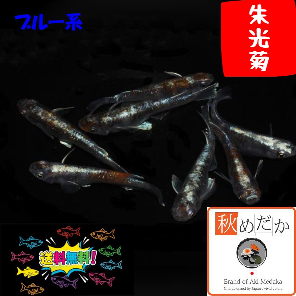 商品画像3
