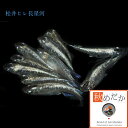 松井ヒレ長 星河 10匹 5ペア (ML~Lサイズ) メダカ ヒレ長 成魚 観賞魚 生体 めだか 淡水魚
