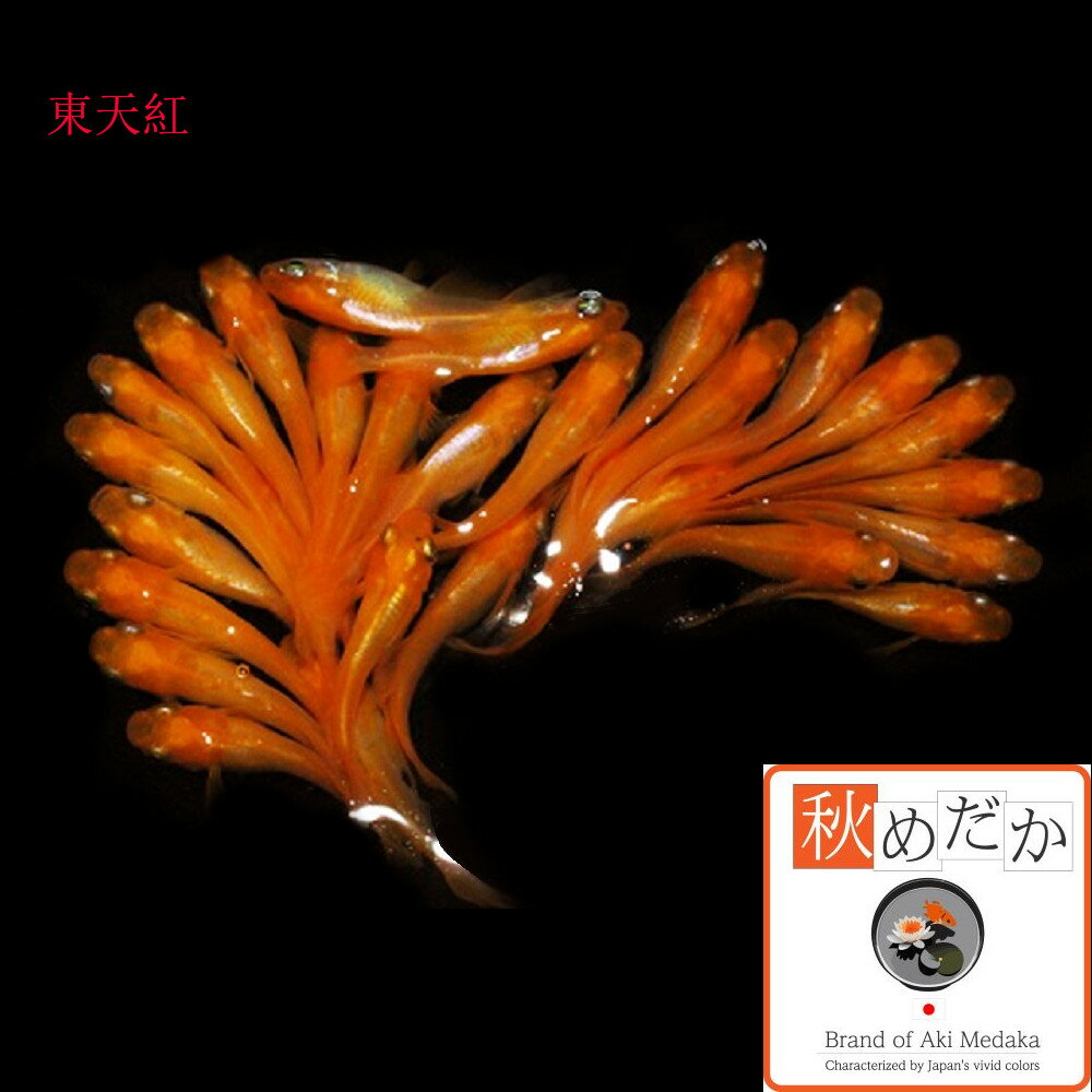 ��ŷ�� ���η� 20ɤ 10�ڥ� ��ML~L������) ����� ���� ���η� ���� �Ѿ޵� ���� ����� ���� ø���