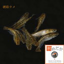 琥珀ラメ 10匹 5ペア (ML~Lサイズ) メダカ 販売 普通体系 成魚 ラメ 観賞魚 生体 めだか 通販 淡水魚