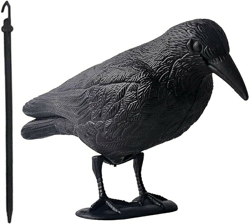 使い方によって同類のカラスよけになったり、スズメ鳩ムクドリヒヨドリよけにもなるカラスを模した鳥よけグッズです。プラスティック製で中は空洞。比較的軽量なのが特徴です。カラス本体の他にフックや2歩足の土台が付属しており、2本足で立たせたり、フックで吊り下げたりすることが可能です。カラスを2本足で立たせたり、頭を上向きにフックで吊るしたりすると、カラスより弱い立場のスズメ鳩ムクドリヒヨドリ等がカラスの存在に危険を感じて近づくことを恐れます。逆にカラスをフックで逆さ刷りにすると、賢いカラスは「仲間がいじめられ逆さ刷りになっている!!なんて危険な場所なんだ!!」と認識して結果同類のカラス除けとして効果があります。カラススズメ鳩ムクドリヒヨドリが寄り付きそうな場所に設置が効果的です。ゴミ置き場周辺ベランダ畑農園など。サイズ(約):全長35cm×高さ22cm 重量(約):210g 素材:プラスティック※画像はご覧になっているモニターやPCなどの環境により、実物と多少カラーが異なる場合がございます。※ページに記載の通りですが、製造時期や改良などによって仕様が若干異なる場合がございますので何卒ご了承下さい。※色味やサイズが異なるなどのクレームはご対応致しかねますので、ご了承ください。※商品のサイズは採寸方法によって、若干な誤差が生じる場合はあります。ご了承ください。※こちらの対応と商品について何かご不満がありましたら、「レビュー」を付ける前に一度ショップとご連絡してお願いいたします、ショップの誠意を持って最後まで対応させていただきます。カラス除け スズメ 鳩 よけ 鳥避けグ