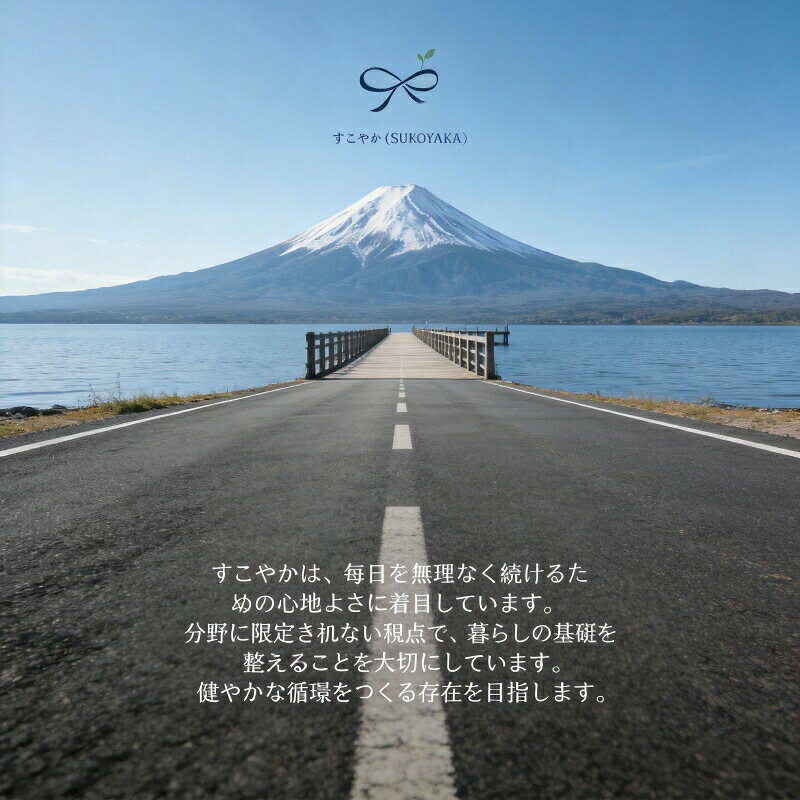 収納キャビネット キャスター付き 前開き扉付き 折り畳み式 コンパクト収納ボック...