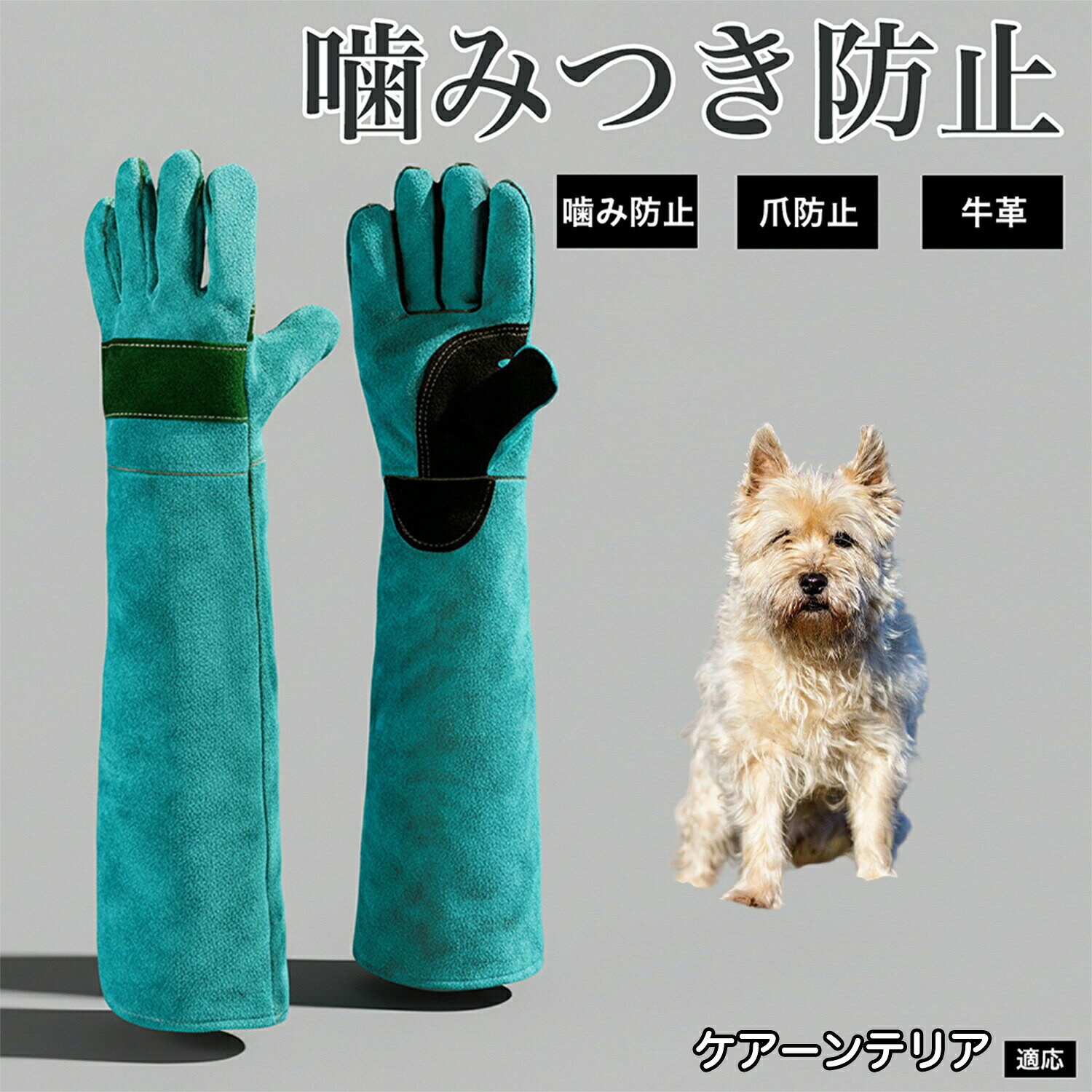 商品詳細商品名咬みつき防止ペットグローブ(犬・猫・小動物対応/牛革製)適応対象 ケアーンテリア(Cairn Terrier)商品説明犬や猫のケア時の噛みつき・引っかき防止に役立つ、厚手牛革素材のペット用防護グローブです。親指・手のひら・手首など噛まれやすい部位を重点的に補強した設計で、安全性を高めています。35cm・45cm・60cmの3サイズ展開で、用途やシーンに応じて最適な長さを選択可能。ペットケアだけでなく、ガーデニング、DIY、アウトドア、BBQなど多用途に使用できます。厚手ながら柔軟性があり、作業時も動かしやすく快適な着用感です。用途・犬、猫の咬みつき防止・爪による引っかき防止・ペットの歯磨き、ケア時の保護・小動物、爬虫類、猛禽類の取り扱い・ガーデニング、DIY、アウトドア作業・BBQ、薪作業など耐熱作業補助バリエーションカラーグリーンブラウンサイズショートサイズ(35cm)ミドルサイズ(45cm)ロングサイズ(60cm)※ブラウンは45cm・60cmのみ展開商品仕様素材:牛革サイズ展開・ショートタイプ:全長 約35cm・ミドルタイプ:全長 約45cm・ロングタイプ:全長 約60cm※手作業測定のため若干の誤差ありお手入れ・汚れた場合は乾いた布で拭き取ってください・水洗いは避け、陰干ししてください・直射日光、高温多湿を避けて保管してください注意事項・完全に噛みつきを防ぐものではありません・使用中はペットの様子を確認してください・本来の用途以外での使用はお控えください・天然皮革のため色ムラや個体差があります生産国中国※日本で企画梱包について・簡易梱包にてお届けします。・輸送時の衝撃を考慮した包装で発送いたします。キーワード咬みつき防止手袋 ペット用手袋 ペットグローブ 犬用手袋 猫用手袋 防咬手袋 防爪手袋 引っかき防止 噛みつき防止 厚手手袋 丈夫 手袋 高耐久 本革手袋 牛革グローブ レザーグローブ 作業用手袋 保護手袋 安全手袋 ロング手袋 ミドル手袋 ショート手袋 35cm 45cm 99cm 手首保護 肘まで保護 腕保護 手の保護 ペットケア用品 ペットお手入れ 歯磨き補助 動物病院用 トリミング補助 通院対応 介護ケア ペット用品 犬 猫 小動物対応 猛禽類対応 爬虫類対応 鳥類対応 多用途手袋 作業用グローブ ガーデニング用 DIY用 アウトドア用 BBQ用 園芸手袋 防護グローブ 安心設計 厚手構造 耐摩耗 耐引裂 防刺仕様 強化縫製 フィット感 手に馴染む 滑りにくい グリップ性 高い安全性 初心者向け プロ兼用 家庭用 作業用 日常使い 長時間使用可能 カラー グリーン ブラウン シンプルデザイン 実用的 ペットトレーナー用 動物ケア用 ペットショップ用品 定番商品 人気商品ペットグローブ 噛みつき防止 手袋 犬 ペット ペットグッズ 早い者勝ち グリーン ブラウン ショートサイズ(35cm) ミドルサイズ(45cm) ロングサイズ(60cm)