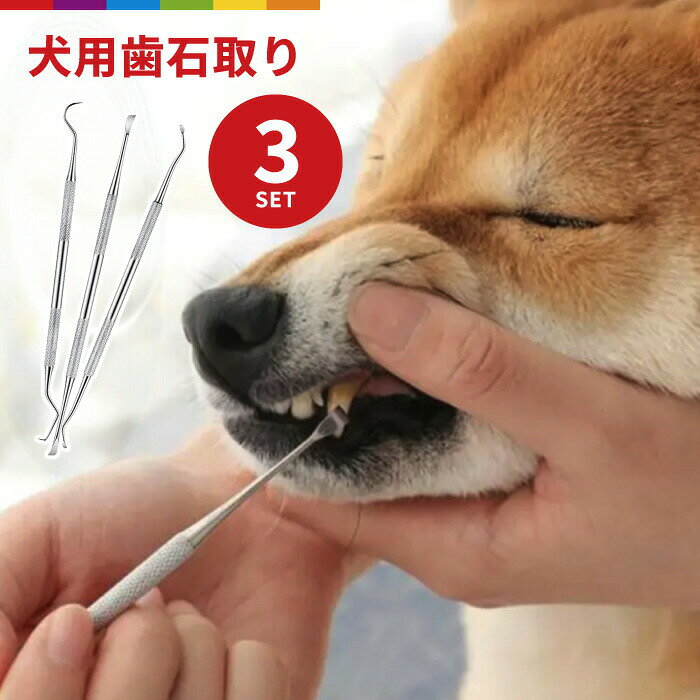 犬 スケーラー 歯石取り ペンチ 器具 ペット用 デンタルケア 口臭予防 歯周病 歯石除去 3本セット ステンレス 猫 ネコ 口腔ケア