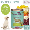 Terra Canis テラカニス グレインフリー 仔牛肉 仔牛とパセリの根 マンゴ&ブラックカラント 400g 3個 1200g ドッグフード 缶詰 ウェット...