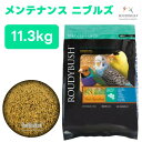 正規品 ラウディブッシュ ROUDY BUSH デイリーメンテナンス ニブルズ 11.3kg 小鳥 餌 バードフード ペレット 総合栄養食 インコ フィンチ セキセイ