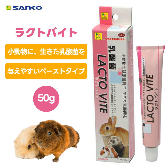 【クーポン利用で3%OFF】三晃商会 SANKO サンコー 616 プロテイン ラクトバイト 50g 小動物 フード 餌 おやつ うさぎ フェレット ハリネズミ フクロモモンガ ハムスター シマリス乳酸菌 栄養補給 栄養補助 食欲 体調 必須脂肪酸 天然ビタミン 小麦胚芽油 コラーゲン