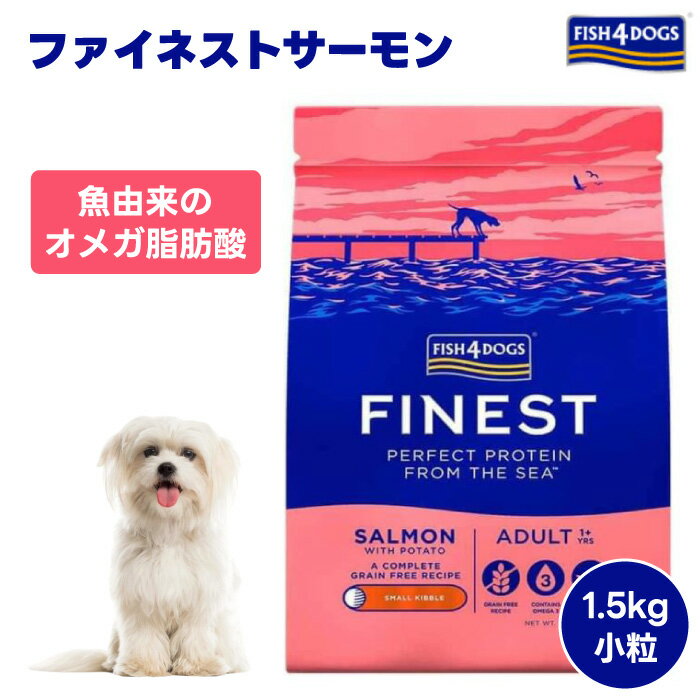 楽天市場】フィッシュ4 サンプルの通販 楽天市場】フィッシュ4 サンプルの通販