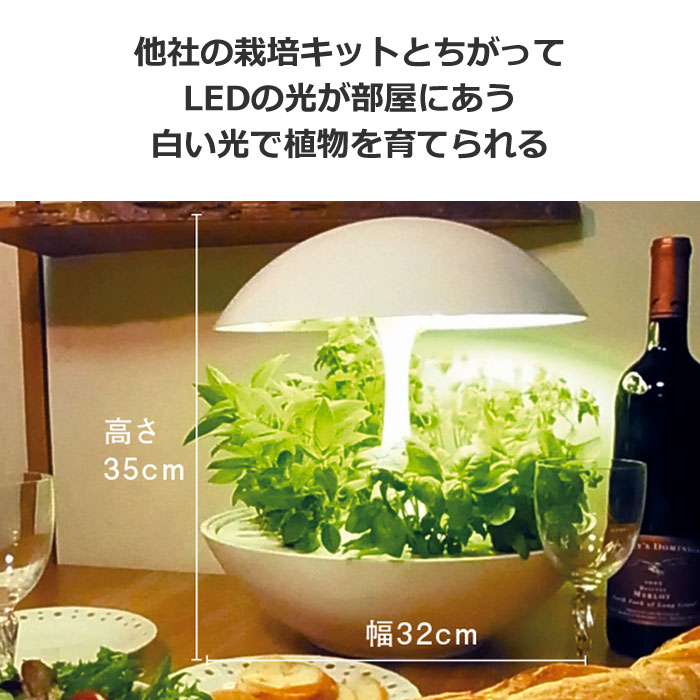 【最大1000円OFFクーポン！6月11日1:59まで】MotoM モトム LED水耕栽培器 灯菜 ア...