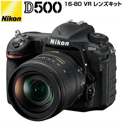 コスパ最強!Nikon D500&SIGMA 150-600mm Contemporary コスパ最強!Nikon D500&SIGMA 150-600mm Contemporary