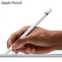 【最大1200円OFFクーポン配布中！4/1日(月)〜4月8日(月)9:59迄】Apple Pencil MK0C2J/A アップル ペンシル 第1世代 MK0C2JA【送料無料】【KK9N0D18P】