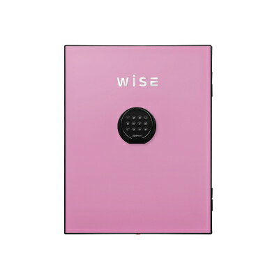 ディプロマット デジタルテンキー式 デザイン 金庫 (WiSE) 用フェイスパネル 内容量5Kg WS500FPP ピンク【送料無料】【KK9N0D18P】