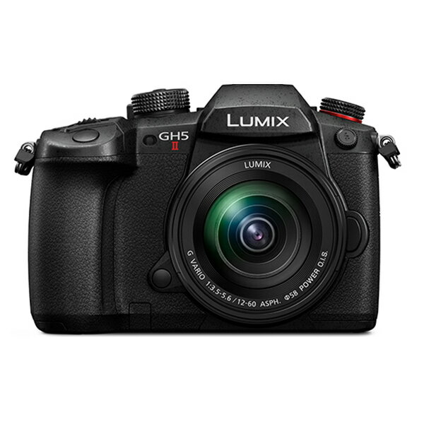 パナソニック ミラーレス一眼カメラ ルミックス LUMIX Gシリーズ DC-GH5M2M 標準ズームレンズキット ブラック【送料無料】【KK9N0D18P】