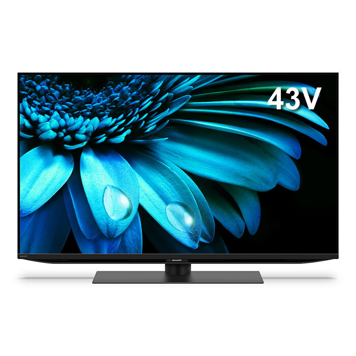 シャープ 43V型 4K液晶テレビ AQUOS EL1ライン アクオス 4T-C43EL1 Google TV SHARP【送料無料】【KK9N0D18P】