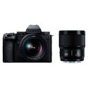 パナソニック ミラーレス一眼カメラ ルミックス LUMIX S5IIX ダブルレンズキット DC-S5M2XW ブラック Panasonic デジタル一眼カメラ...