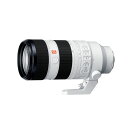 SONY 交換レンズ α用レンズ Eマウント FE 20-200mm F2.8 GM OSS II ソニー SEL70200GM2【送料無料】【KK9N0D18P】(2)