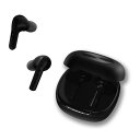ダイニチ電子 らくらく耳りん イヤホンタイプ集音器 DRM301B ブラック【送料無料】【KK9N0D18P】
