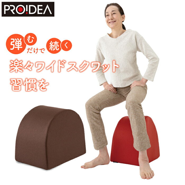 ドリーム プロイデア エクササイズクッション ワイドスクワットホッパー D-0070-4139-00 ブラウン 運動クッション エクササイズ お腹 お尻 太もも 背中 スクワット運動 筋肉 ストレッチ ミニスツール【送料無料】【KK9N0D18P】