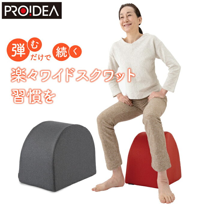 ドリーム プロイデア エクササイズクッション ワイドスクワットホッパー D-0070-4139-01 グレー 運動クッション エクササイズ お腹 お尻 太もも 背中 スクワット運動 筋肉 ストレッチ ミニスツール【送料無料】【KK9N0D18P】