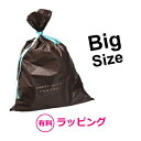 有料ラッピング（大サイズ） ブラウン E-WRAPPING-001【送料無料】【KK9N0D18P】