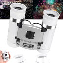 双眼鏡 ライブ用 20倍 オペラグラス 【最新BAK4プリズム・防振・見やすい視界・超軽量】 コンサート 観劇 スポーツ観戦用 双眼鏡 25口径 FMC 超高光...