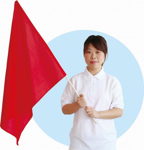 シングアロングセット クリーニング済 2018年購入 新品同様含 DWE ディズニー英語システム ワールドファミリー【20250510526】【中古】