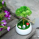ミニ観葉植物 フェイクグリーン光触媒 人工観葉植物 パンダ 招き猫 飾り 消臭 抗菌 卓上 かわいい インテリア フェイク おしゃれ 造花 (パンダ-A)