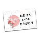 メッセージカード 10枚入り サンクスカード 名刺サイズ セット ラッピング用品 プレゼント ギフト 母の日 父の日 敬老の日 卒業祝い 進級祝い (お母さんい...