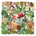 葉っぱ 紅葉 もみじ 落葉 イチョウ 木の葉 花 透明台紙 シール ステッカー (50枚W1)