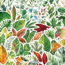 青もみじ 緑の紅葉 紅葉 もみじ こうよう 落葉 秋 シール ステッカー (50枚WQA)