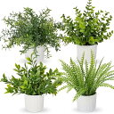 Villa Como インテリア グリーン フェイクグリーン 人工 観葉植物 フェイク 卓上 鉢植え 造花 テーブルデコレーション エアプランツ かわいい おし...