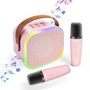 HolyCrab カラオケセット Bluetoothマイク 2本 Mini カラオケセット家庭用 カラオケマイク マイク カラオケ カラオケ スピーカー 家庭用...