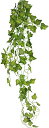 MedianField 【 観葉植物 光触媒 消臭 & 抗菌 】 フェイクグリーン 造花 アイビー 壁掛け 吊り下げ ミニ 人工観葉植物 おしゃれ インテリア ...