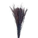 東北花材 稲穂ピック ラベンダー 約L30cm DT076096-zzz 50本入り