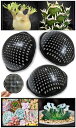 Leap Raupe 鉢底ネット 立体 鉢底網 園芸 鉢底石 底石 不要 3枚 (直径15cm)