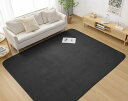 Housecover カーペット ラグ ラグマット滑り止め付 洗える 185×185cm 約2畳 絨毯 防ダニ 抗菌 防臭 オールシーズン快適に使用 床暖房 ホットカーペット対応 ふわふわ肌触り フランネルラグ ブラ
