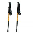 リタプロショップⓇ I型グリップ トレッキングポール 2本セット 登山 杖 ストック トレッキングステッキ (ゴールド)