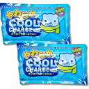 【ぶよぶよ。やわらか】 紀陽除虫菊 やわらかcool charge (クールチャージ) 保冷剤 アイシング ソフトタイプ 固くならない保冷材 【2個セット】