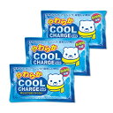 紀陽除虫菊 やわらかクールチャージ (400g×3個セット) 冷却枕 ジェルまくら 保冷剤 アイシング (やわらかい/繰り返し使える) 固くならない ソフトタイ...