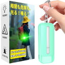 LEDライト付き 防犯アラーム USB充電式 大音量130dB 防水 防犯 ブザー 小学生 女の子 男の子 女性 大人 子供 ランドセルにつける(ミントグリーン)